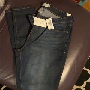 Torrid jeans brand new 16T